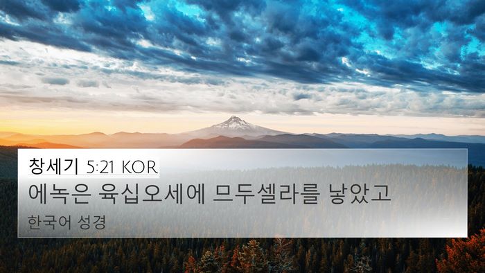 창세기 5:21 KOR Bible Verse Image