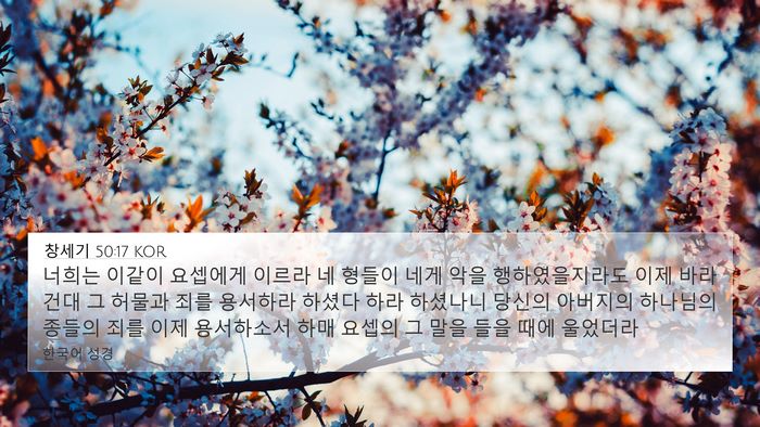 창세기 50:17 KOR Bible Verse Image