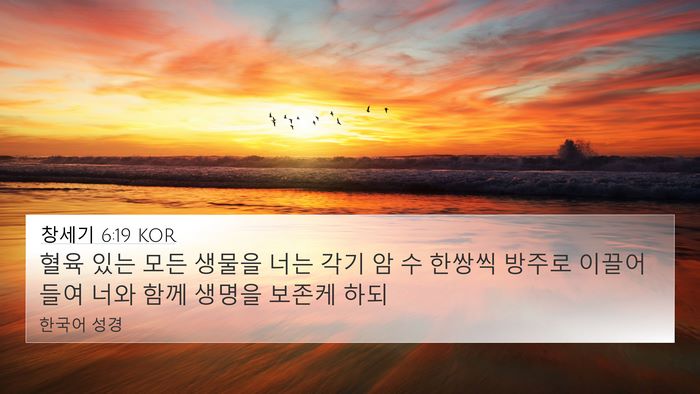 창세기 6:19 KOR Bible Verse Image