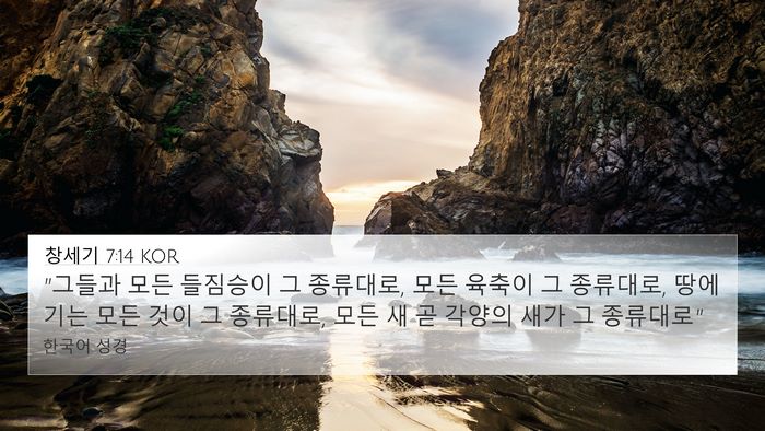 창세기 7:14 KOR 4K Wallpaper - 