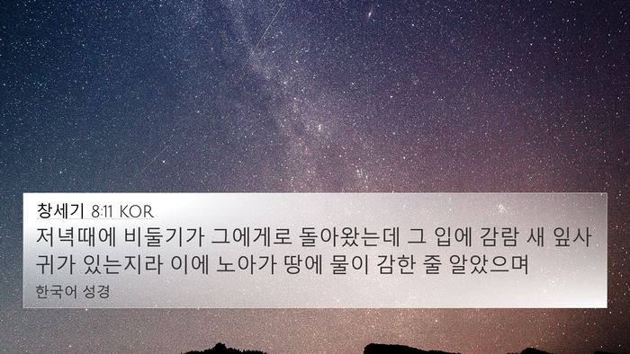 창세기 8:11 KOR Bible Verse Image