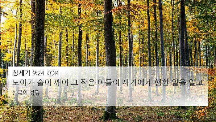 창세기 9:24 KOR 4K Wallpaper - 노아가 술이 깨어 그 작은 아들이 - 4K Wallpaper Bible Verse