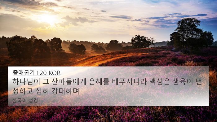 출애굽기 1:20 KOR Bible Verse Image