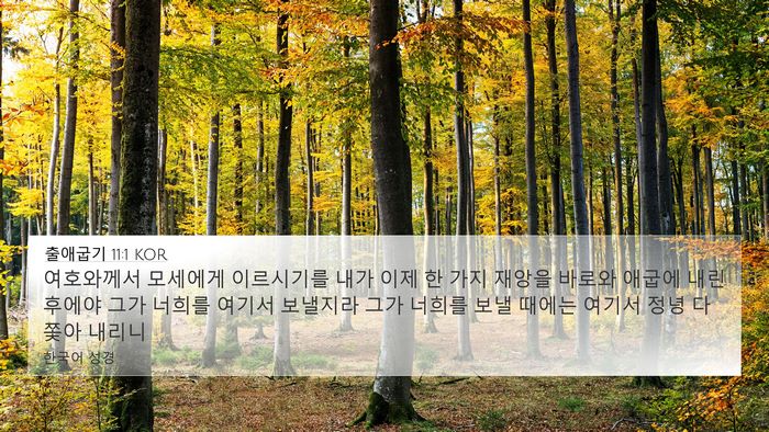 출애굽기 11:1 KOR Bible Verse Image