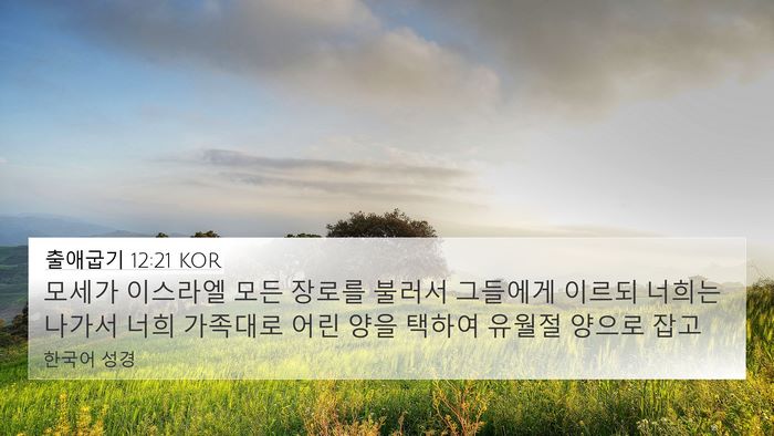 출애굽기 12:21 KOR Bible Verse Image