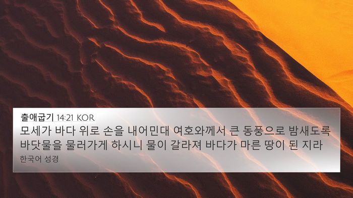 출애굽기 14:21 KOR Bible Verse Image