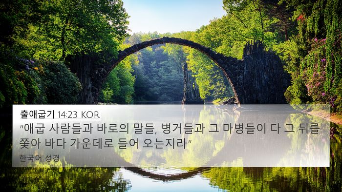 출애굽기 14:23 KOR Bible Verse Image
