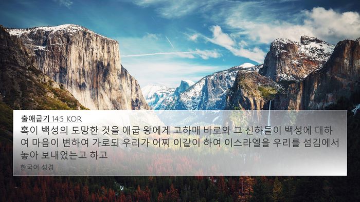 출애굽기 14:5 KOR Bible Verse Image