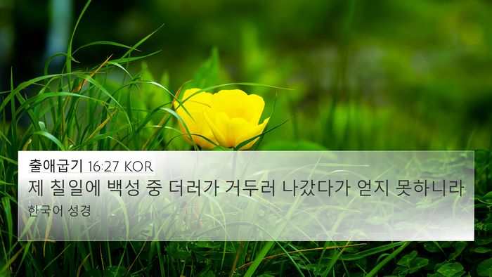 출애굽기 16:27 KOR Bible Verse Image