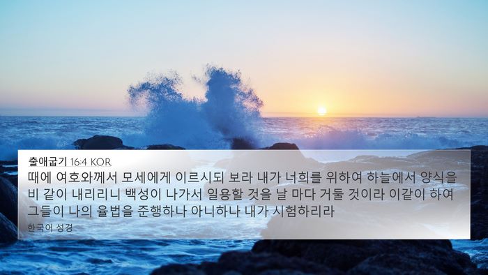 출애굽기 16:4 KOR Bible Verse Image