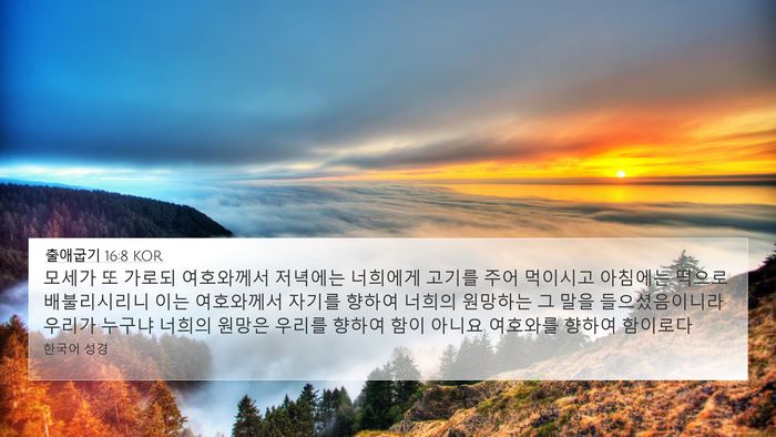 출애굽기 16:8 KOR Bible Verse Image