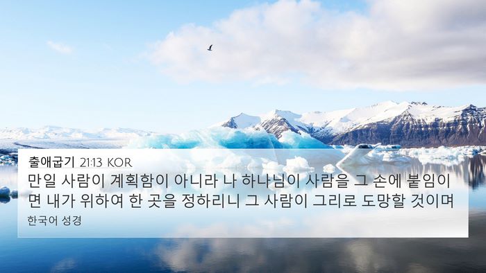 출애굽기 21:13 KOR Bible Verse Image