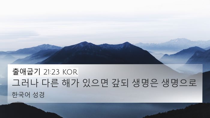 출애굽기 21:23 KOR Bible Verse Image