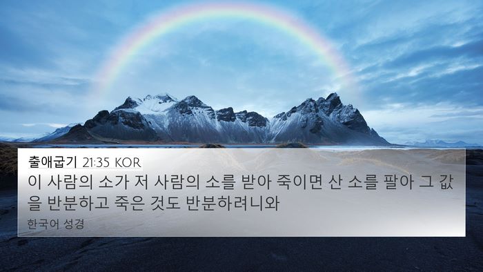 출애굽기 21:35 KOR 4K Wallpaper - 이 사람의 소가 저 사람의 소를 받아 - 4K Wallpaper Bible Verse
