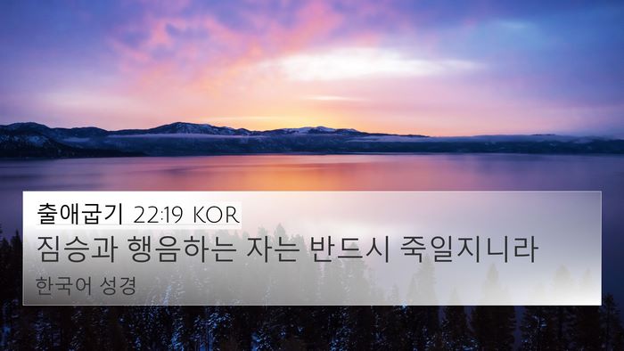 출애굽기 22:19 KOR Bible Verse Image