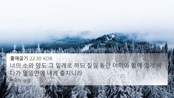 출애굽기 22:30 KOR Bible Verse Image