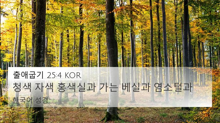출애굽기 25:4 KOR Bible Verse Image