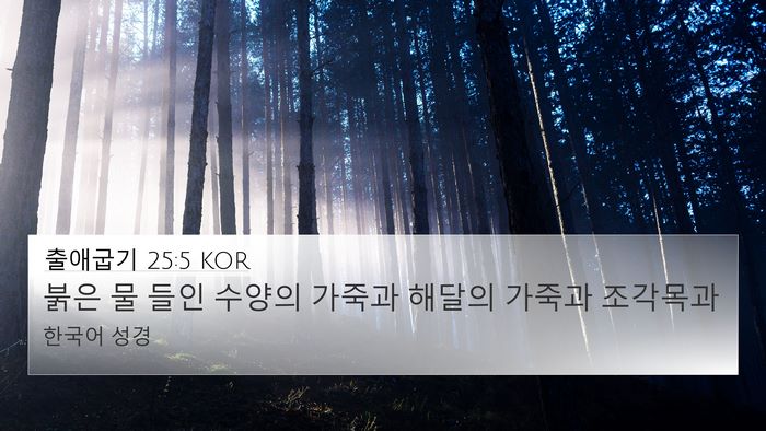 출애굽기 25:5 KOR Bible Verse Image