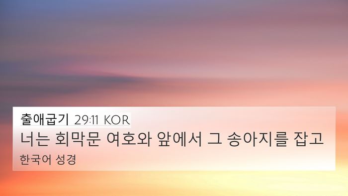 출애굽기 29:11 KOR Bible Verse Image