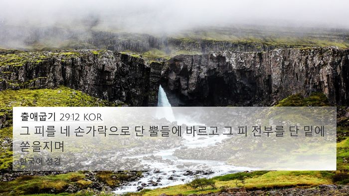 출애굽기 29:12 KOR Bible Verse Image