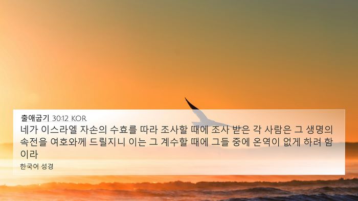 출애굽기 30:12 KOR Bible Verse Image