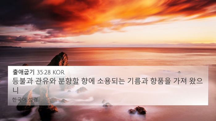 출애굽기 35:28 KOR 4K Wallpaper - 등불과 관유와 분향할 향에 소용되는 - 4K Wallpaper Bible Verse