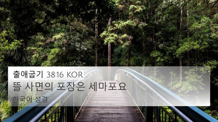 출애굽기 38:16 KOR 4K Wallpaper - 뜰 사면의 포장은 - 4K Wallpaper Bible Verse