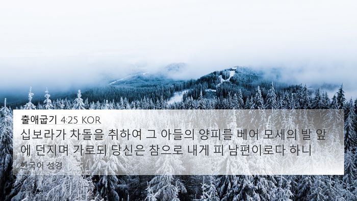 출애굽기 4:25 KOR Bible Verse Image