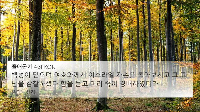 출애굽기 4:31 KOR Bible Verse Image