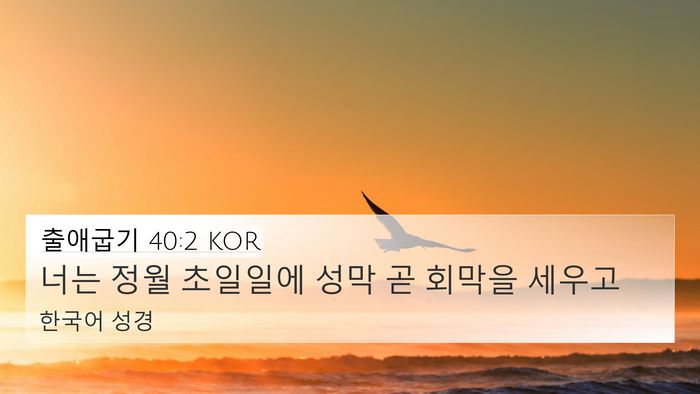 출애굽기 40:2 KOR Bible Verse Image