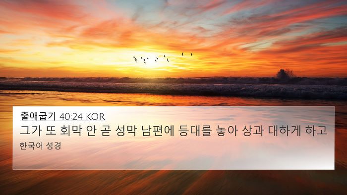 출애굽기 40:24 KOR Bible Verse Image
