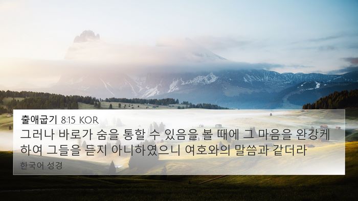 출애굽기 8:15 KOR Bible Verse Image