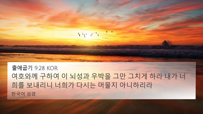 출애굽기 9:28 KOR Bible Verse Image