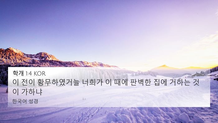 학개 1:4 KOR Bible Verse Image