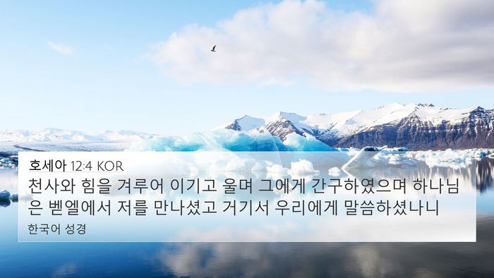 호세아 12:4 KOR Bible Verse Image