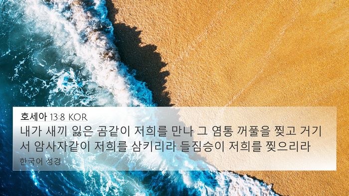 호세아 13:8 KOR Bible Verse Image