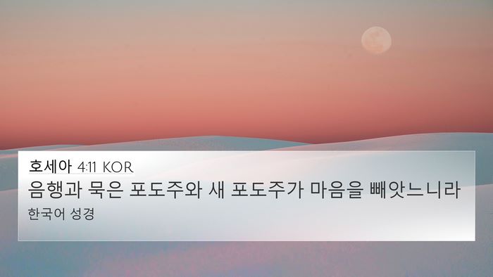 호세아 4:11 KOR Bible Verse Image