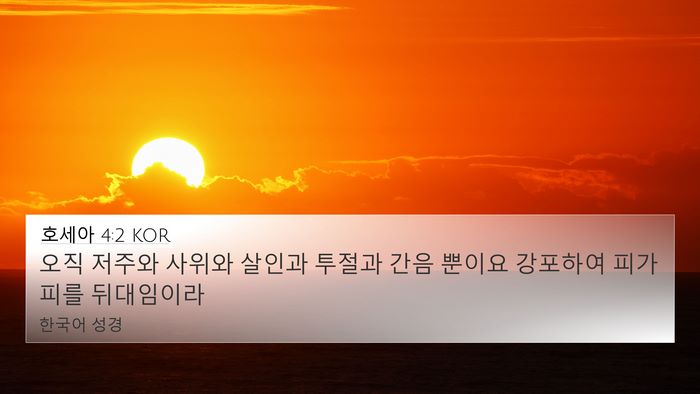 호세아 4:2 KOR Bible Verse Image