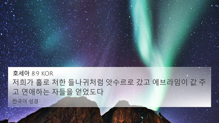 호세아 8:9 KOR Bible Verse Image