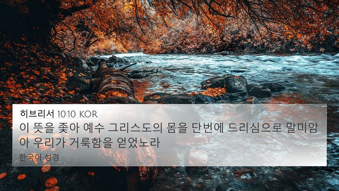 히브리서 10:10 KOR Bible Verse Image