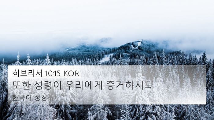 히브리서 10:15 KOR Bible Verse Image