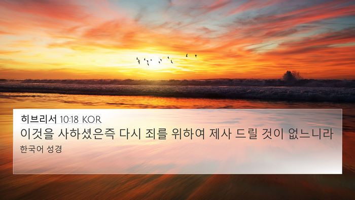 히브리서 10:18 KOR 4K Wallpaper - 이것을 사하셨은즉 다시 죄를 위하여 - 4K Wallpaper Bible Verse