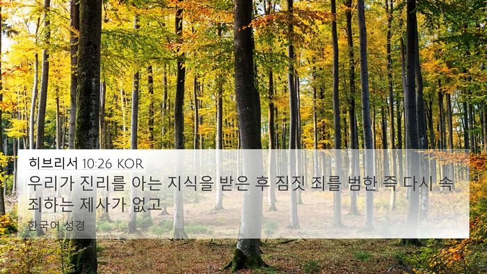 히브리서 10:26 KOR Bible Verse Image