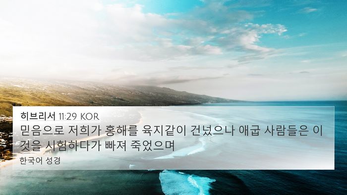 히브리서 11:29 KOR Bible Verse Image
