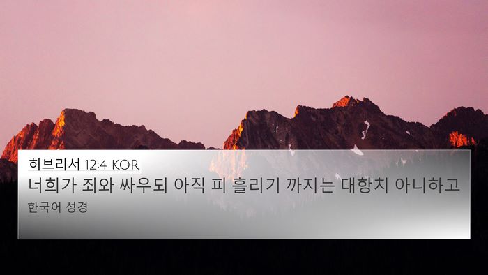 히브리서 12:4 KOR Bible Verse Image