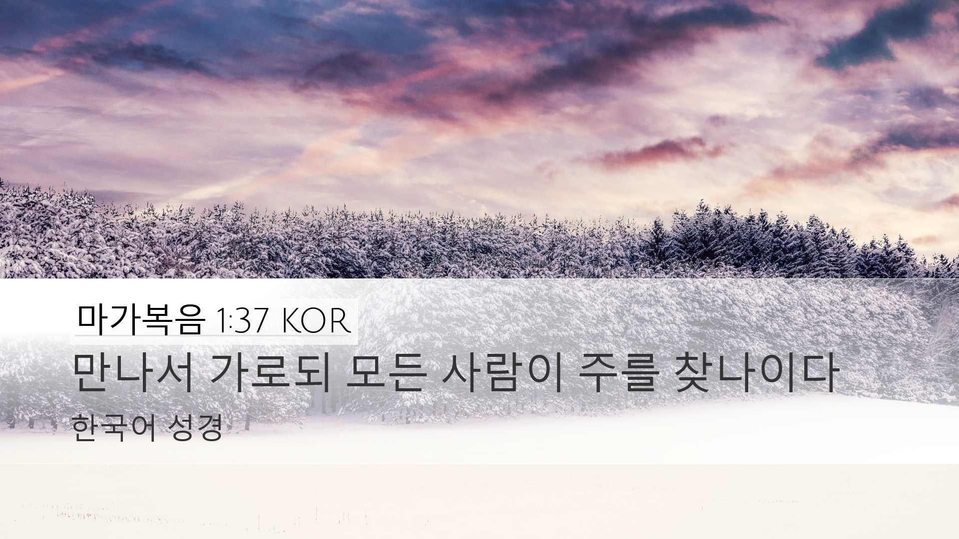 마가복음 1:37 KOR Desktop Wallpaper - 만나서 가로되 모든 사람이 주를
