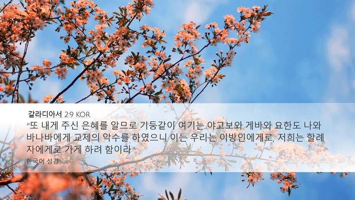 갈라디아서 2:9 KOR Bible Verse Image