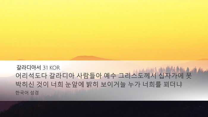 갈라디아서 3:1 KOR Bible Verse Image