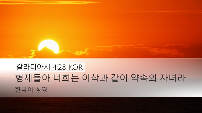 갈라디아서 4:28 KOR Bible Verse Image