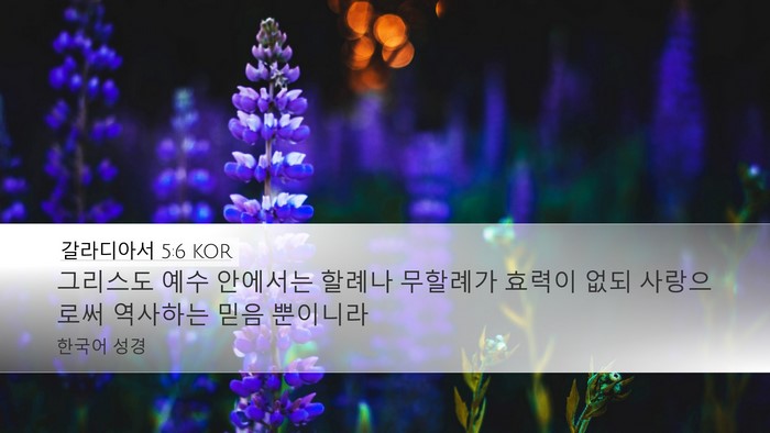갈라디아서 5:6 KOR Bible Verse Image